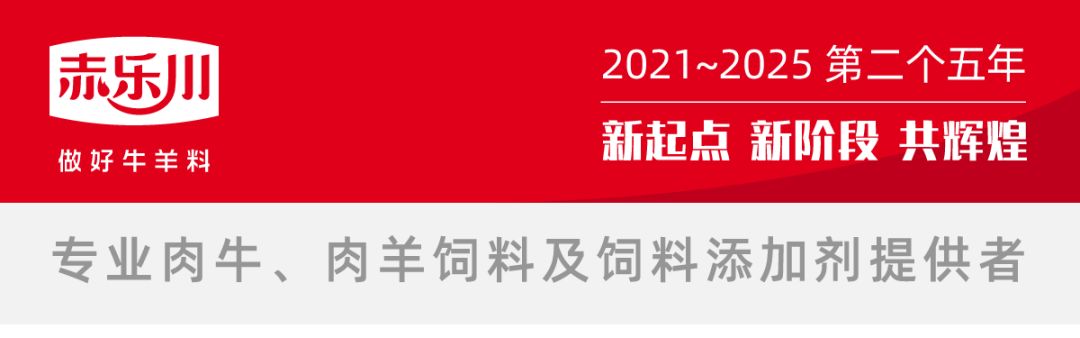 赤乐川2021年第三站“幸福之行”走进黑龙江哈尔滨双城地区(图1)